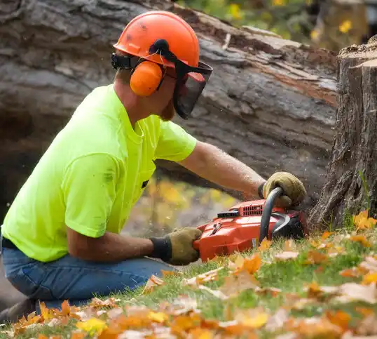 tree services Baldwin Harbor